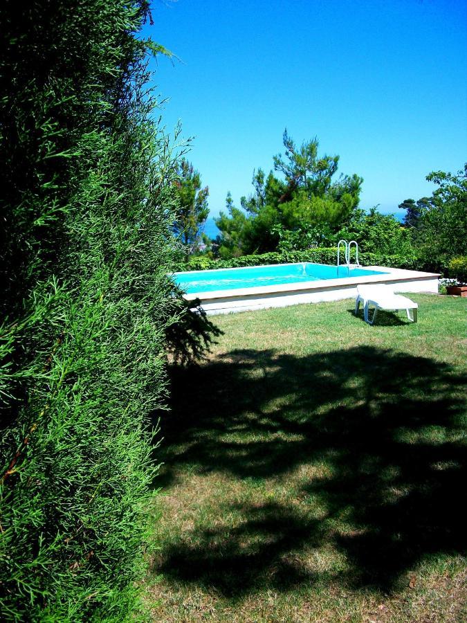 B&B Luna Blu Montesilvano Marina Exteriér fotografie